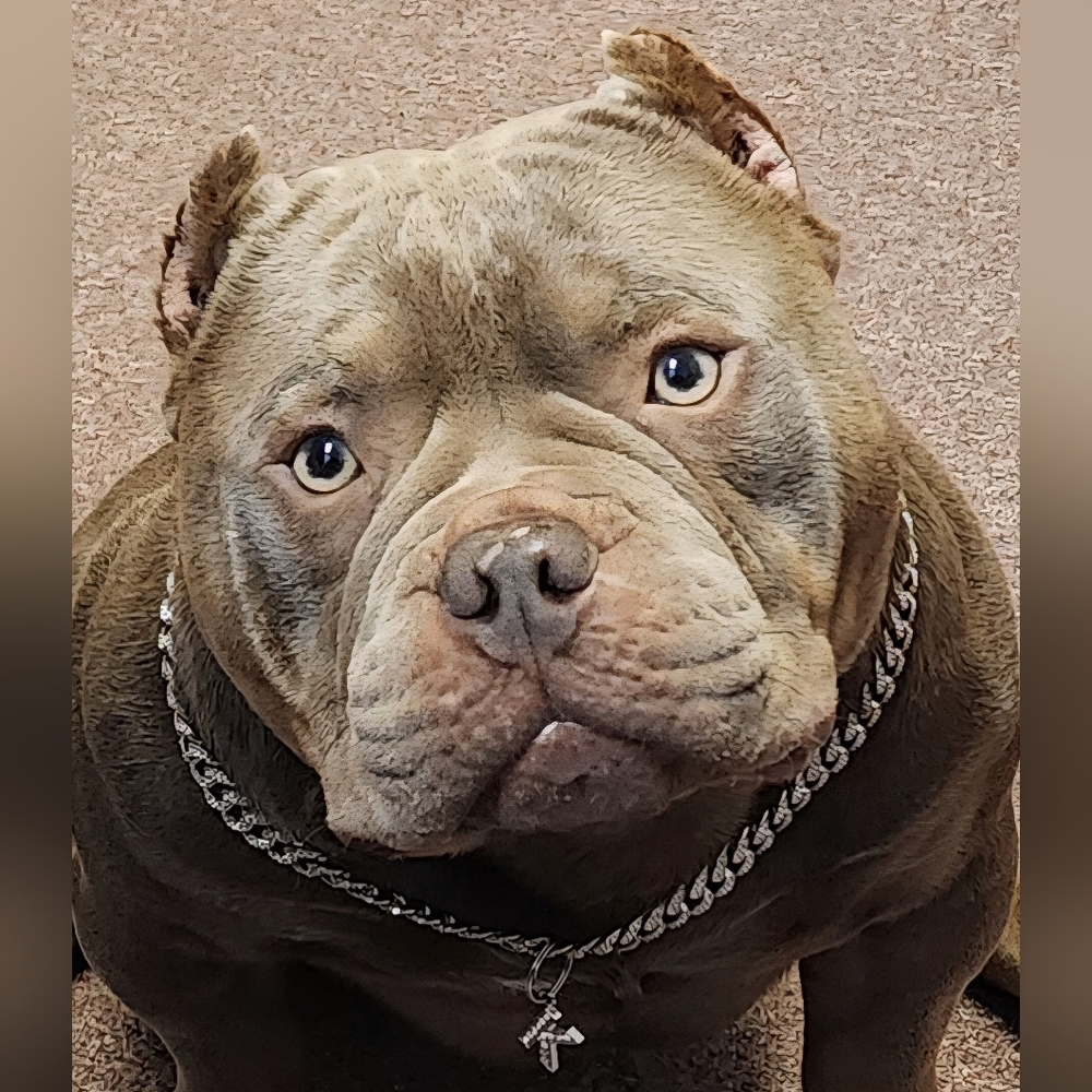 Meet your Posher, Maria